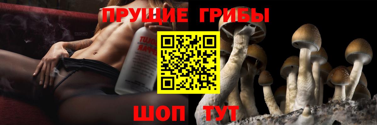 Псилоцибиновые грибы ЛСД  Галлюциногенные грибы ЛСД  Феодосия  где купить наркотик  Вход с VPN 